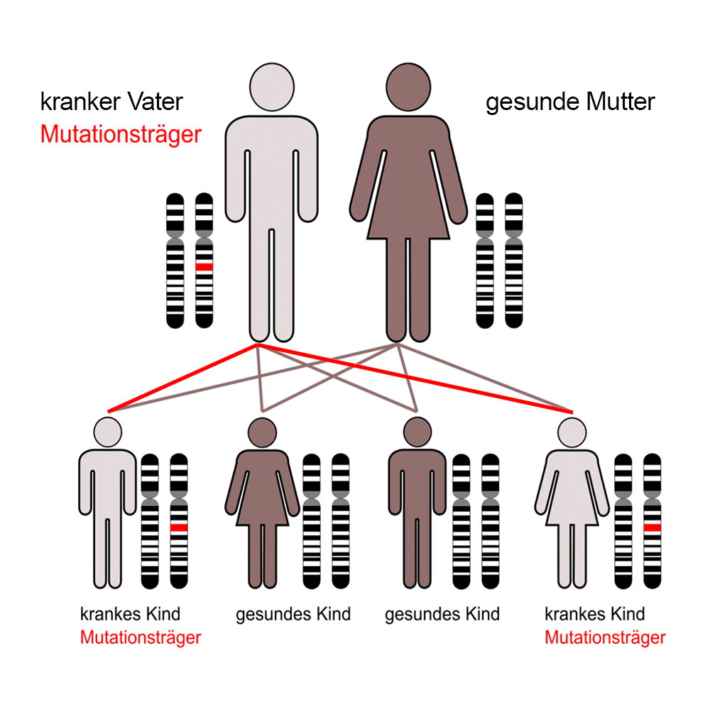 Kreuzungsschema – Autosomal-dominante Vererbung